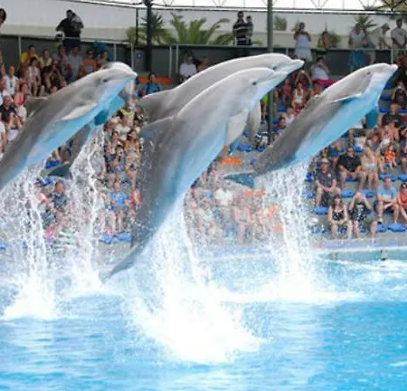 Apartment Fred E Kika Holidays Portimao